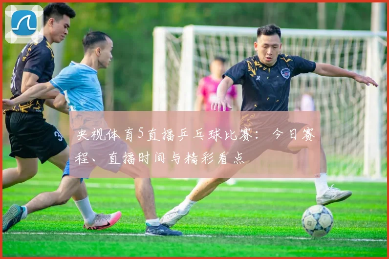 央视体育5直播乒乓球比赛:今日赛程、直播时间与精彩看点