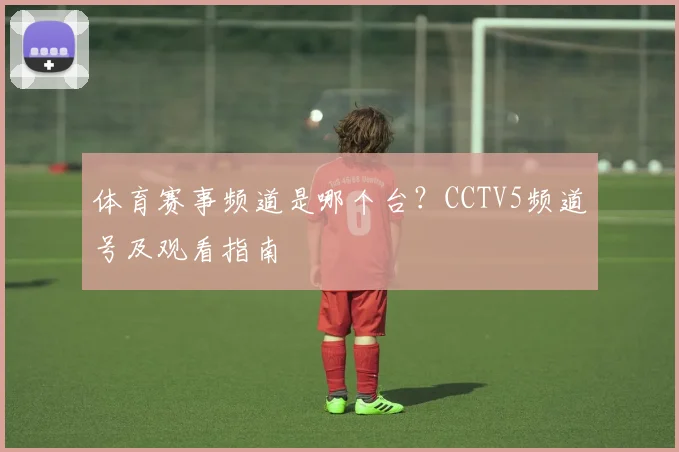 体育赛事频道是哪个台？CCTV5频道号及观看指南