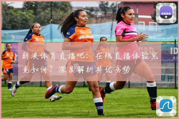新浪体育直播吧：在线直播体验究竟如何？深度解析其优劣势
