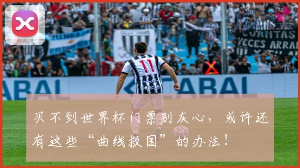 买不到世界杯门票别灰心，或许还有这些“曲线救国”的办法！