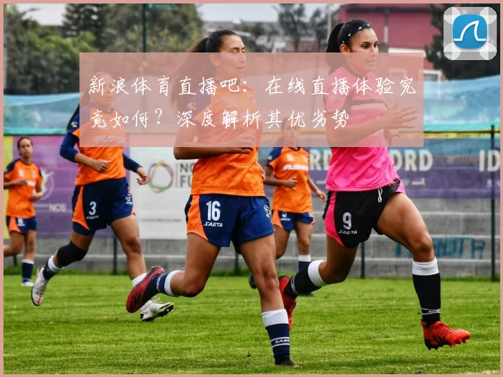 新浪体育直播吧：在线直播体验究竟如何？深度解析其优劣势