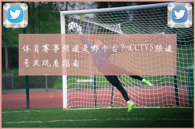 体育赛事频道是哪个台？CCTV5频道号及观看指南